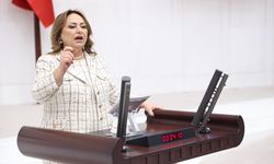 CHP’li Şevkin’den Meclise Dikkat Çeken Önerge: “Vatandaşın Tapusu Var Ama Tasarrufu Yok”