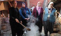 Doğada Zehirli, Sofrada Şifa! Adana’da Tırşik Mesaisi Başladı