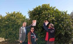 Arılar Olmazsa Üretim Durur! Kozan’da Kritik Uyarı