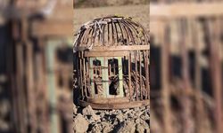 Özgürlüklerine Kavuştular