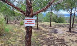 Ağaca Asılan Not Bile Çare Olmadı! Seyhan Kıyısındaki Çöp Manzarası Şaşırttı