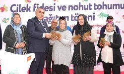 Adana Büyükşehir Belediyesi, Üreticiye Destek Olmaya Devam Ediyor