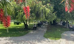 Adana Kavruluyor! Termometreler 41’i Gösterdi