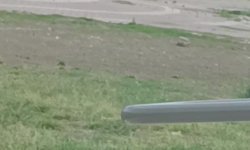 Adana’da Sokak Ortasında Dehşet! Sopalar ve Tüfekler Konuştu