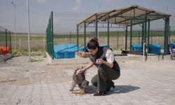 Ceyhan’da Patili Dostlara Dev Doğal Yaşam Alanı Açıldı!