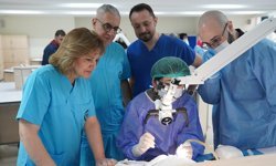 Çukurova Üniversitesi’nden KBB Alanında Tarihi Eğitim: Kadavra Üzerinde Uygulamalı Kurs