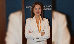 Delikanlı Gitti, Arslan Geldi