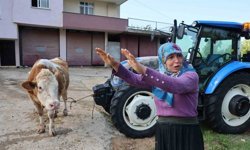 Kozan’da Bir Anda Bastırdı: Ahırın Üstünü Aşan Sel Her Şeyi Götürdü