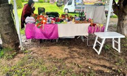 Adana’da Karnavalda Felaket! Stantlar Sağanak Yağmurda Zarar Gördü