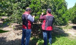 Kozan’da Tarımda Büyük Değişim! Kimyasal İlaçlara Alternatif Geliyor