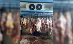 ‘Tek Tırnaklı’ Operasyonu!