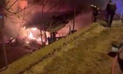 Alevler Her Yeri Sardı! Hayvanlar Son Anda Kurtarıldı