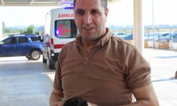 Kurban Yerine Kendilerini Kestiler!