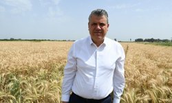 Ayhan Barut’tan TMO’ya Sert Çağrı: “Buğdayın Fiyatı En Az 25 Lira Olmalı”