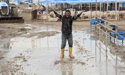 Adana’da Kurban Pazarları Göle Döndü! Besiciler İsyan Etti