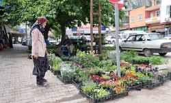 Kozan’da Ata Tohumu Fidelerine Yoğun İlgi!