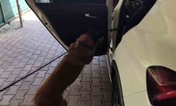 Zehir Zulasına ‘Tuzak’ Savunması!