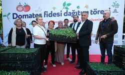 Adana’da Üreticiye Dev Destek! Yüz Binlerce Domates Fidesi Dağıtıldı