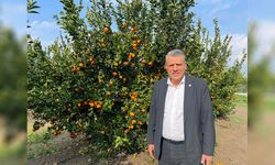 Ayhan Barut’tan Kritik Uyarı: Çiftçi Borçları 1,3 Trilyon Lirayı Aştı!