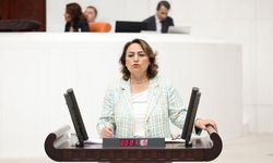 CHP’li Şevkin’den Sert Çıkış: “Evler Tamamlandıysa Neden Teslim Edilmiyor?”