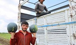 Adana'da Karpuz Sezonu Bitiyor! Fiyatlar 8 Liraya Kadar Geriledi