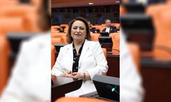 Dr. Müzeyyen Şevkin'den Meclis'te Gıda Güvenliği Uyarısı!