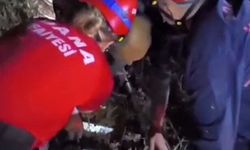 Ormanda Mahsur Kalan Kişi İçin Seferberlik!