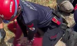 Anne ve Oğlunun Hayatını Kaybettiği Kazada Yürek Burkan Gerçek Ortaya Çıktı