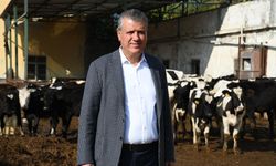 Süt Krizi Büyüyor! Ayhan Barut'tan Çarpıcı Uyarı