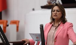 CHP'li Şevkin TBMM'de Sert Çıktı: "Çocukları Cezalandırmak Çözüm Değil, Önce Bataklığı Kurutun!"