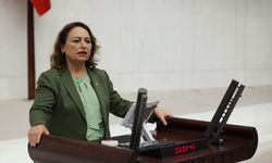 Çukurova Havalimanı'nda 100 Kişi İşten Çıkarıldı İddiası! Müzeyyen Şevkin TBMM'de Sordu