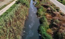 Adana'da Mikroplastik Alarmı! Tarımsal Drenaj Kanallarında Yoğunluğu Görüntülendi