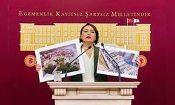 Müzeyyen Şevkin’den Deprem Çağrısı: “Tozlu Raflardaki Deprem Raporlarını İndirin!”