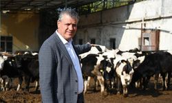 2027’de 480 Bin Baş Sığır İthal Edilecek: Ayhan Barut’tan İktidara Sert Eleştiri