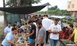 Adana’da Kuş Pazarı Yine Dolup Taştı!