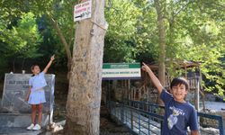 Feke’de “Çöp Atan Eşektir” Tabelası Dikkat Çekti, Çocuklar Harekete Geçti