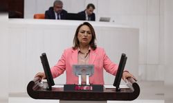 Müzeyyen Şevkin’den 1 Eylül Mesajı: “Barış İçin Önce Eşit Yurttaşlık Ve Adalet”