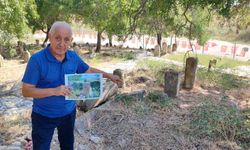 Adana’da Tarihi Mezarlıkta Şaşırtan Olay!