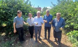 Adana’da Çiftçinin Kabusu: 35 Bin Dönüm Tarım Alanı Doludan Etkilendi