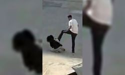 5 Bin 219 Kadına Koruma!