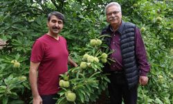 Bin 200 Rakımda 18 Yıllık Deneme!