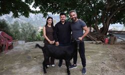 Adana’da Düğünde Herkesi Şaşırtan Hediye!