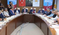 Kozan’da 800 Güreşçi Kozlarını Paylaşacak!