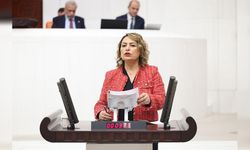 Şevkin’den Meclis’te Sert Çıkış: “830 Milyar Dolarlık Hırsızlığın Hesabını Kim Verecek?”