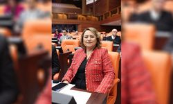 Şevkin’den Meclis’te Sert Çıkış: “Çukurova’da Çiftçi Bitti, Sayın Bakan!”