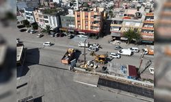 Seyhan’da Moloz Alarmı!