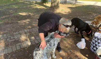 30 Yıldır Sokak Hayvanlarını Besliyor