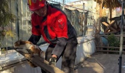 Ayağı Sıkışan Kedinin Yardımına İtfaiye Koştu