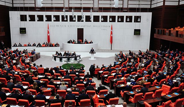 Doğayı Koruyacak Mı, Kirletmeyi Mi Meşrulaştıracak? TBMM'den Geçen Yasa Gündemde