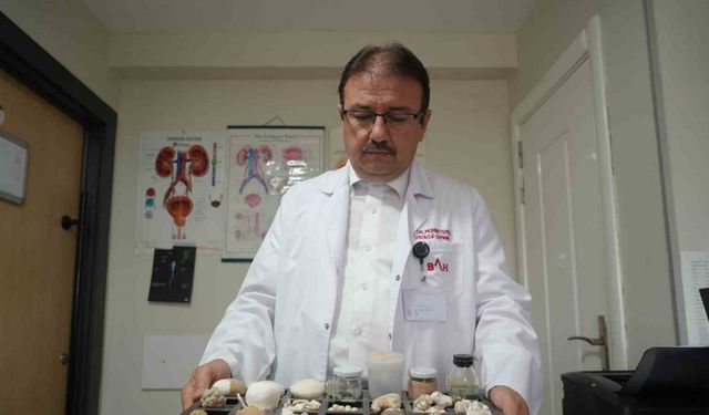 Hastaların Çilesi Olan ’Taşlar’ Üroloji Uzmanına Koleksiyon Oldu